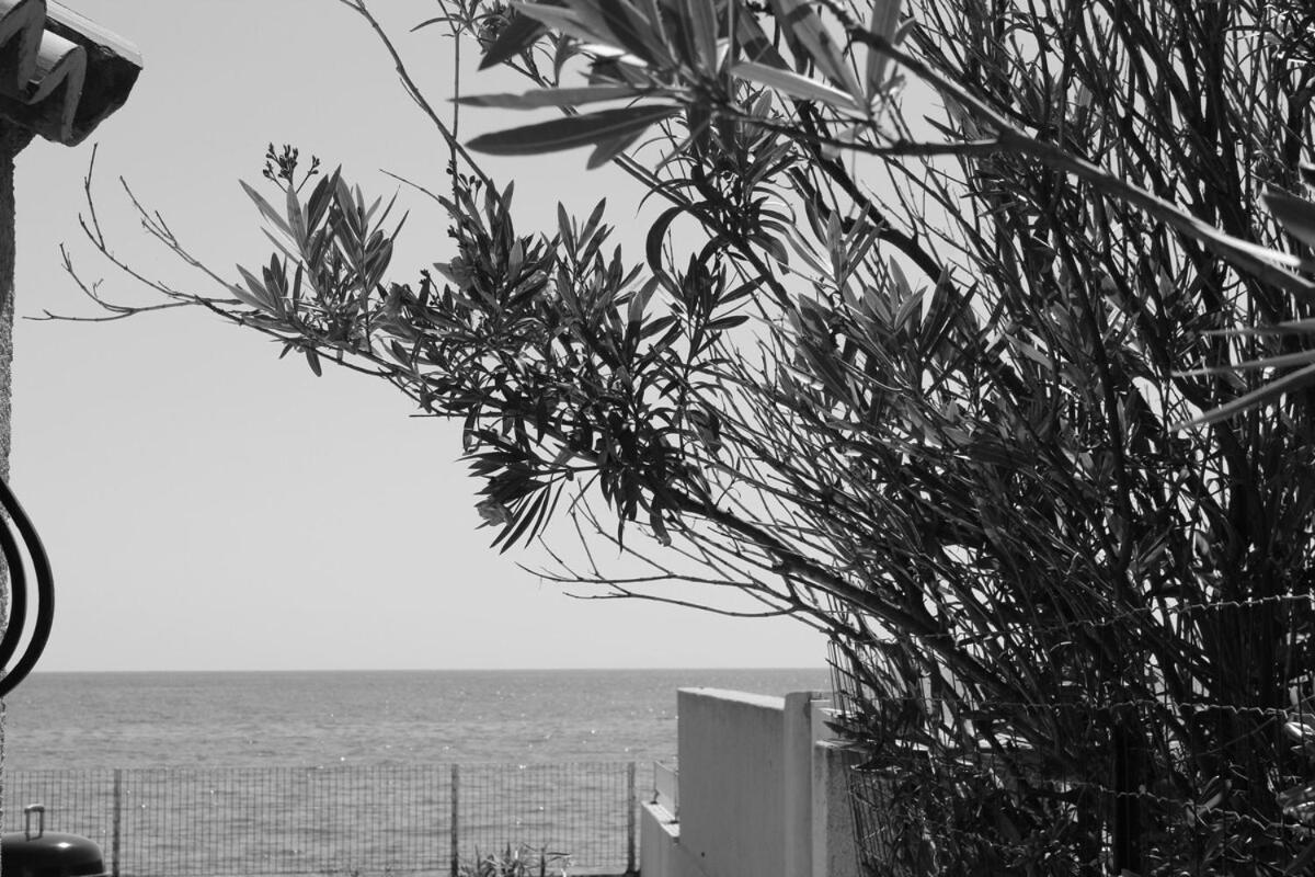 Bord de mer, pieds dans l'eau, vue panoramique Villa San-Nicolao Luaran gambar