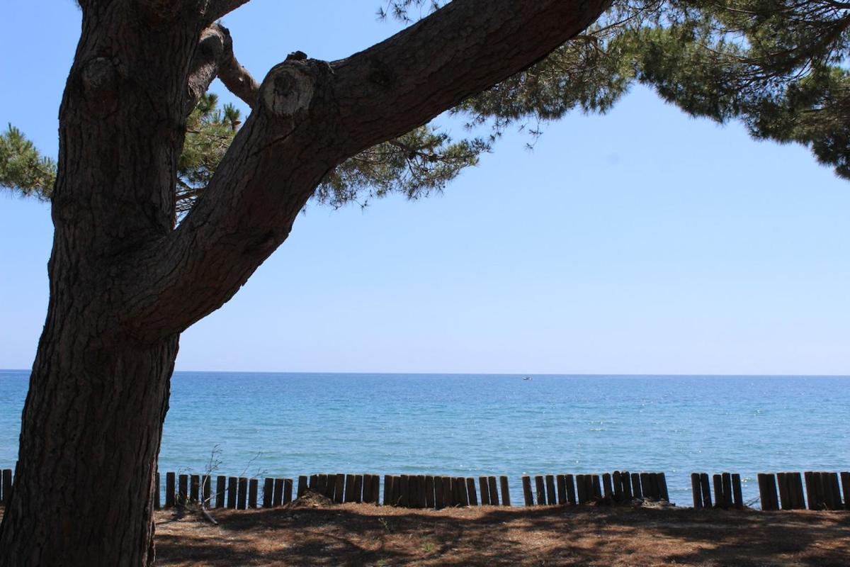 Bord de mer, pieds dans l'eau, vue panoramique Villa San-Nicolao Luaran gambar